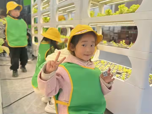 Nouvelle ferme hydroponique verticale intérieure intelligente-Système intelligent de culture de fruits et légumes - Product Image 2