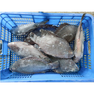 Tilapia Congelée Entière Ronde Noire 500g, Processus de Congélation LQF, Exportation Chine - Product Image 1