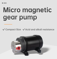 Nouvelle arrivée, petite pompe à engrenages micro à faible pression, 2,5 L/min, joint FKM, pompe de dosage d'eau avec moteur à courant continu à balais 30 W 24 V