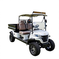 Voiturette de golf électrique 2 places pour usage agricole et équestre, buggy de golf tout-terrain 4 roues avec bac de chargement