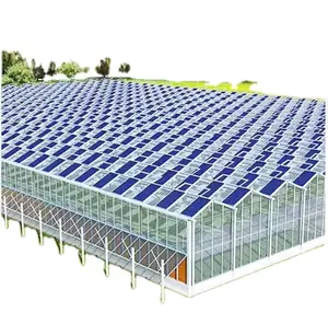 Agricultural Tomato Hydroponics invernadero Greenhouse In Stock Turnkey Projects For Sale