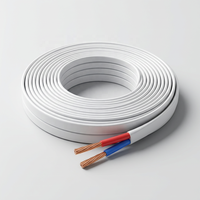 Hochleitfähiges RVVB Doppelflachkabel Größen 2x0,75 2x1,0 2x1,5 Weiße Abdeckung Rot Schwarz 300/450V Nennspannung