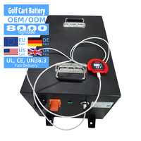 Tricycle électrique Bluetooth Bms avec écran LCD Batterie Lifepo4 36 volts 48v 72v 100ah 200ah 300ah Batterie au lithium pour voiturette de golf