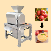 Automatische guave-tomaat pulper van roestvrij staal met motor, industriële fruitpulper en sapcentrifuge