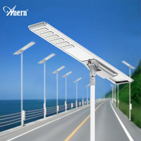 Anern Wholesale 100W All-in-One Solar Street Lights Commercial LED Outdoor Lighting for Roads
