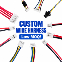 Harnais de câblage terminal personnalisé VH3.96 PH SM 1.0 1.25 1.5 2.0 2.54 3.96mm Pas de pas faible MOQ OEM ODM