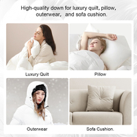 US Standard 80% plume de duvet de canard blanc haute puissance de remplissage motif lavé OEKO-TEX certifié duvet de canard Offre Spéciale de couleur blanche