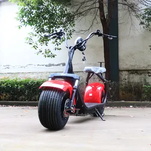 Listrik 2 roda skuter listrik kota Coco 1000w Citycoco 2000w sepeda skuter listrik
