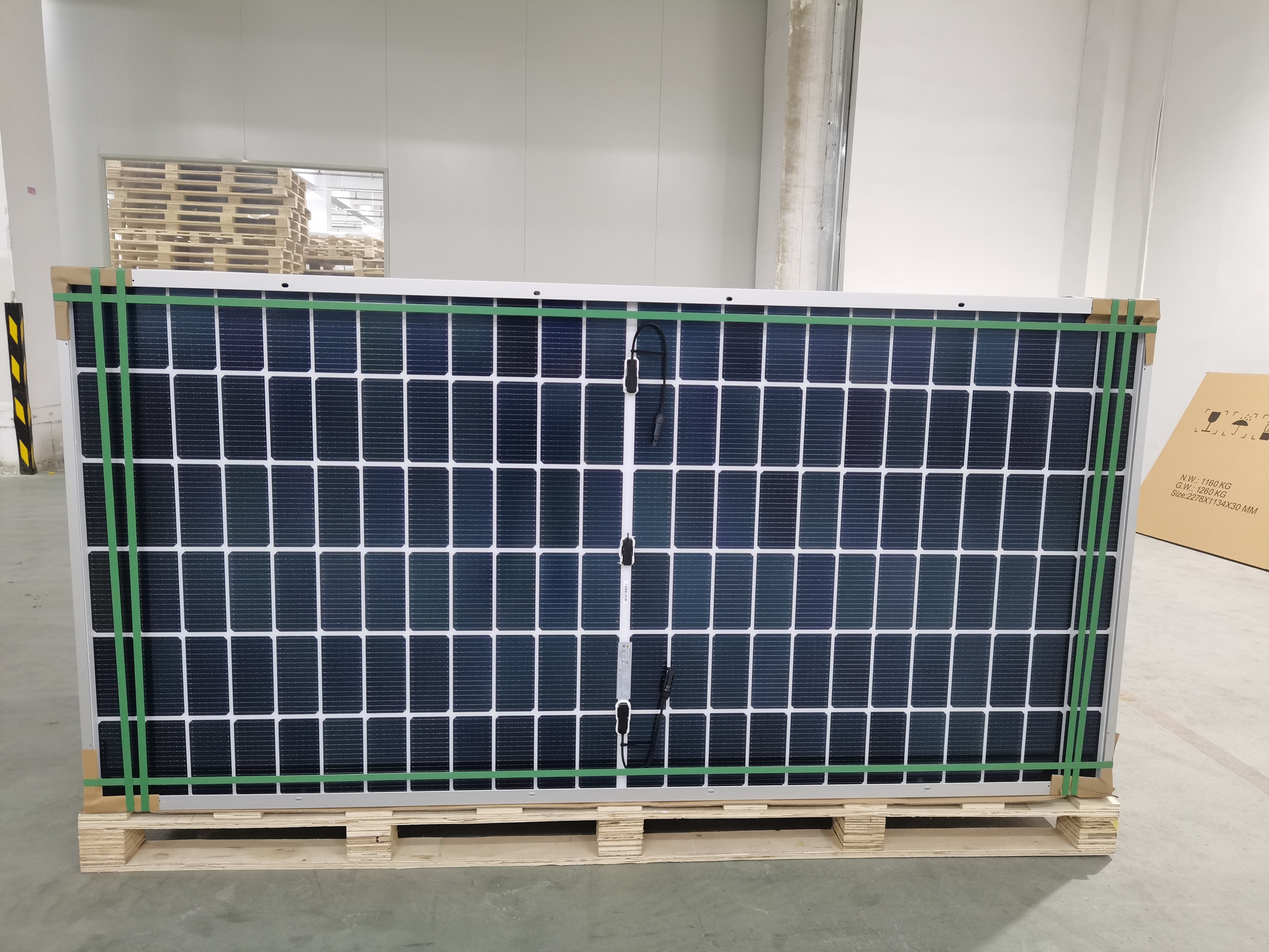 邦楽 OM - SOLAR WIND (promo) Powerful 700W Solar Panels for Maximum Energy Output - High