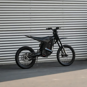 2025 Leopard Clouded Leopard XE PRO 72V 55Ah 16.8KW Moto tout-terrain Leopard - Product Image 2