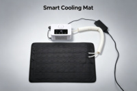 Consumer Electronics Cooling Pad with Cooling & Heating Eco-friendly PVC Material Multi-speed Adjustment for Winter and Summer