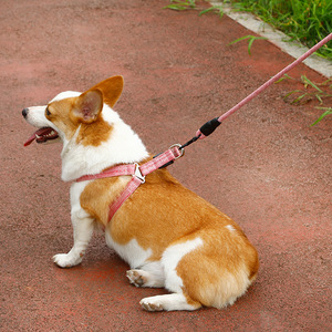 Conjunto de arnés colorido para perros de alta calidad, arnés ajustable para mascotas sin estrangulamiento con mango cómodo de fácil Control, cuerda para <span class=keywords><strong>Collar</strong></span> de perro - Product Image 4