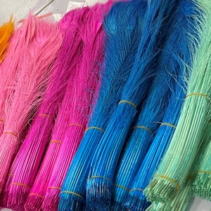 Plumes de paon blanchies et teintes faites à la main en gros pour mariage, décoration de maison, vase, carnaval, fête, bricolage et artisanat - Product Image 4