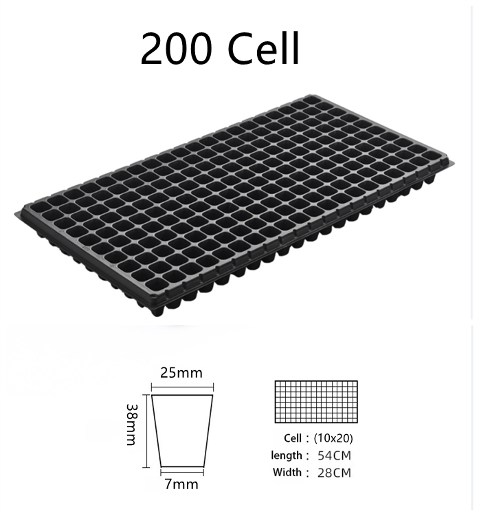 Black 200 cells