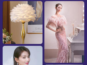 54 types d'accessoires de costumes de scène colorés, plumes d'autruche de 8 à 10 cm - Product Image 3