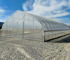 Invernadero Polytunnel de un solo tramo, invernadero agrícola, estructuras de invernadero comerciales usadas a la venta - Product Image 3