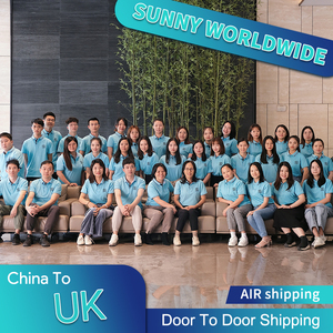 Servicios de Envío SWWLS, Precio Económico, China-Austria, DDU, <span class=keywords><strong>DDP</strong></span>, <span class=keywords><strong>LCL</strong></span>+Express, Transporte Marítimo Competitivo, 10-35 Días de Tránsito, Soporte 24/7 - Product Image 2