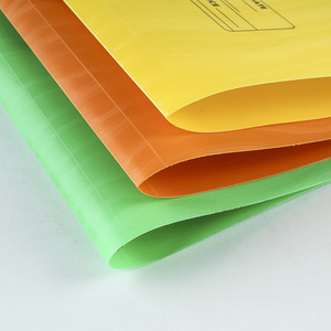 Wholesale PP F/<strong>C</strong> Spring Frosted Perforated <strong>File</strong> Folder Customized Logo Available - Product Image 6