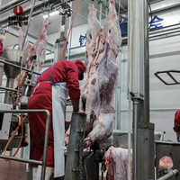 Línea de Sacrificio de Ganado con Control Inteligente Automático/Semi-Automático, Maquinaria Comercial para Procesamiento de Carne de Res, Motor y Bomba