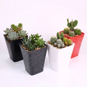Pot de fleurs carré conique en plastique, finition marbrée brillante et mouchetée, couleurs noir, blanc, rouge, pour la maison, le bureau et le jardin intérieur. - Product Image 1