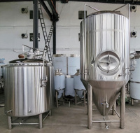 GHO 2024 Haute Qualité Capacité 500L/300L/1000L Brassage de Bière Équipement de Fermentation Nouvelle Condition Pub Brasserie