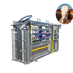 Stockman cattle chute/crush/squeeze with preg/palpation cage