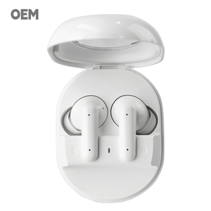 Sang trọng tùy chỉnh TWS tai nghe | HD Hi-Fi soundstage | nhanh Qi sạc trường hợp | chương trình OEM VIP - Product Image 5