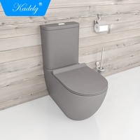 Juego de Inodoro de Dos Piezas con Descarga Doble, Moderno, Alargado, con Sifón en Forma de S y P, de Cerámica Negra Mate, para Baño