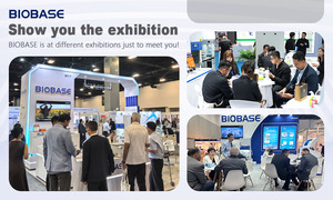 Biobase nhiệt độ cao sấy Oven <span class=keywords><strong>PID</strong></span> Bộ vi xử lý kiểm soát nhiệt độ cho phòng thí nghiệm - Product Image 4