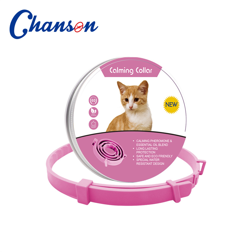 Chat rose