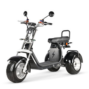 Tricycles électriques Citycoco de qualité 2026, trois roues, moteur électrique, passagers, pour usage familial, tricycle 4000w, pneus tout-terrain - Product Image 2