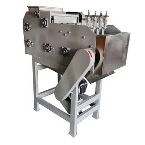 Automatische Cashewnoten Shell Breken Verwijderen Onthulling Verwerkingsmachine Beschiet Cashewnoten Sheller Cracker Machine