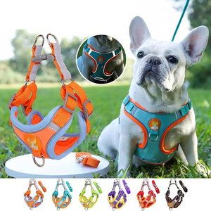 Harnais et laisse réglables pour chien, ensemble réfléchissant, cadeau pour chiot, gilet de harnais pour chat, laisse d'entraînement extérieur pour petit chien, anti-traction - Product Image 1
