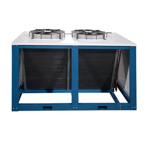 R134a R507 R22 R404A Air Coolded V Cabin Type Condensing Unit for Cold Rooms