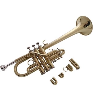 <span class=keywords><strong>Trompette</strong></span> plate E/D pour adultes et enfants, instrument en cuivre professionnel, surface laquée, tonalité universelle BB pour débutants - Product Image 6