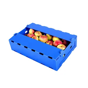 Hot Sales Custom Waterproof Strong Durable Plastic Corflute Packaging Fruit/Vegetable Box