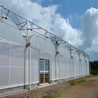 Serre agricole multi-chapelles de grande taille en polycarbonate de haute qualité avec structure en acier galvanisé à chaud et système hydroponique