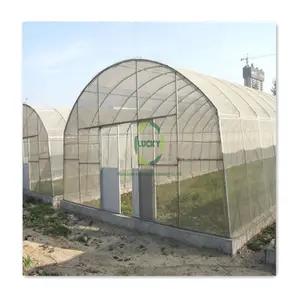 Hot Sale Plantation Agricultural Manufacturer Indoor Small Single Span Green House With Led Lights