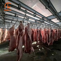 Ligne d'abattage automatique moderne pour porcs, équipement d'abattoir hygiénique à grande vitesse