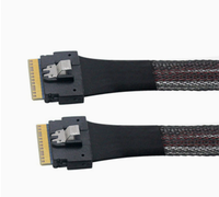 Câble de serveur SlimSAS 8I tressé en nylon haute vitesse SFF 8654 à faible perte pour stockage hyperconvergé OEM ODM longueur personnalisée