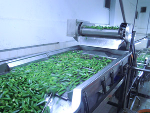 All'ingrosso IQF gombo congelato intero Premium qualità ISO & BRC HACCP approvato in porcellana verdure surgelate di origine - Product Image 6