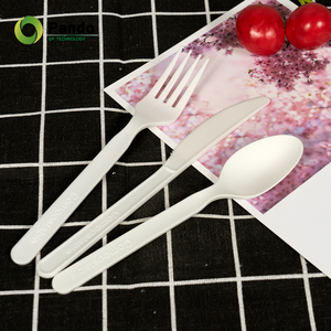 Kits de couverts jetables en plastique, cuillère, fourchette, couteau, plastique transparent emballé, PLA, vente en gros, ensembles de couverts biodégradables - Product Image 2