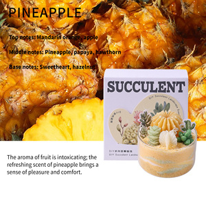 Vela Aromática <span class=keywords><strong>de</strong></span> Cera <span class=keywords><strong>de</strong></span> Soja <span class=keywords><strong>con</strong></span> Forma <span class=keywords><strong>de</strong></span> <span class=keywords><strong>Cactus</strong></span>, en Maceta, Regalo Romántico para Acción <span class=keywords><strong>de</strong></span> Gracias o Navidad, Adorno Decorativo - Product Image 6