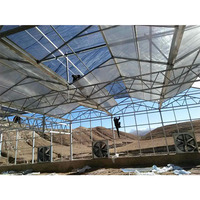 Grote Eenvoudige Kas Met Hete Gegalvaniseerde Stalen Frame Polycarbonaat Hoes Voor Het Kweken Van Groenten