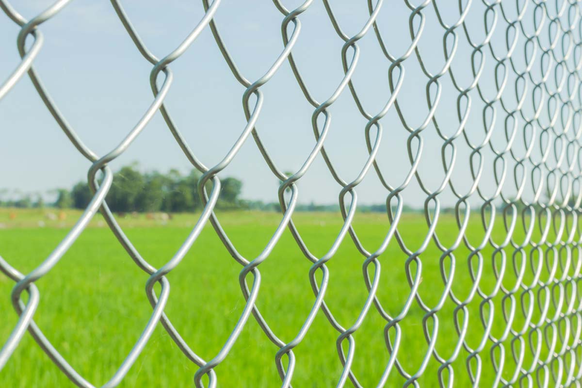 10 Gauge Chain Link Mesh Fencing 50*50mm 75*75mm Diamond Mesh Wire Fencing