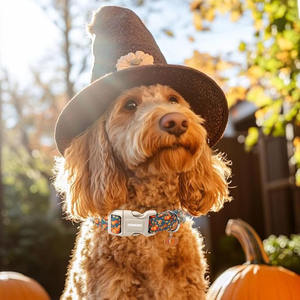 머리카락을 문지르 지 않는 부드러운 안감은 오랫동안 애완 동물을 편안하게 만듭니다. 할로윈 애완 동물 목걸이 맞춤 개 목걸이 - Product Image 3