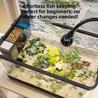 Filtre pour aquarium domestique, petit aménagement paysager écologique créatif pour poissons rouges, ensemble complet, pas de changement d'eau requis, aucun matériel nécessaire
