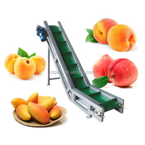 Công nghiệp Rau xoài dứa mứt pulper trái cây máy bột giấy extractor Cherry pulper + hoist 1 t/h Công suất - Product Image 4