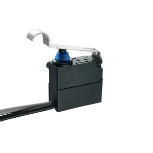 Microinterruptor mini microinterruptor/cable o microinterruptores inalámbricos 0.1A con palanca para piezas de automóviles
