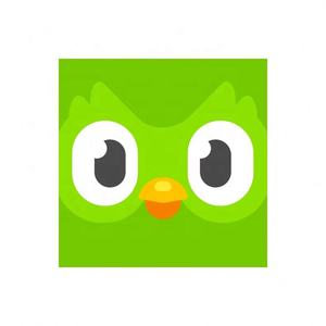 Cuenta Premium de Duolingo Pro, 1 Año, Aplicable Globalmente, Activa Tu Propia Cuenta - Product Image 4